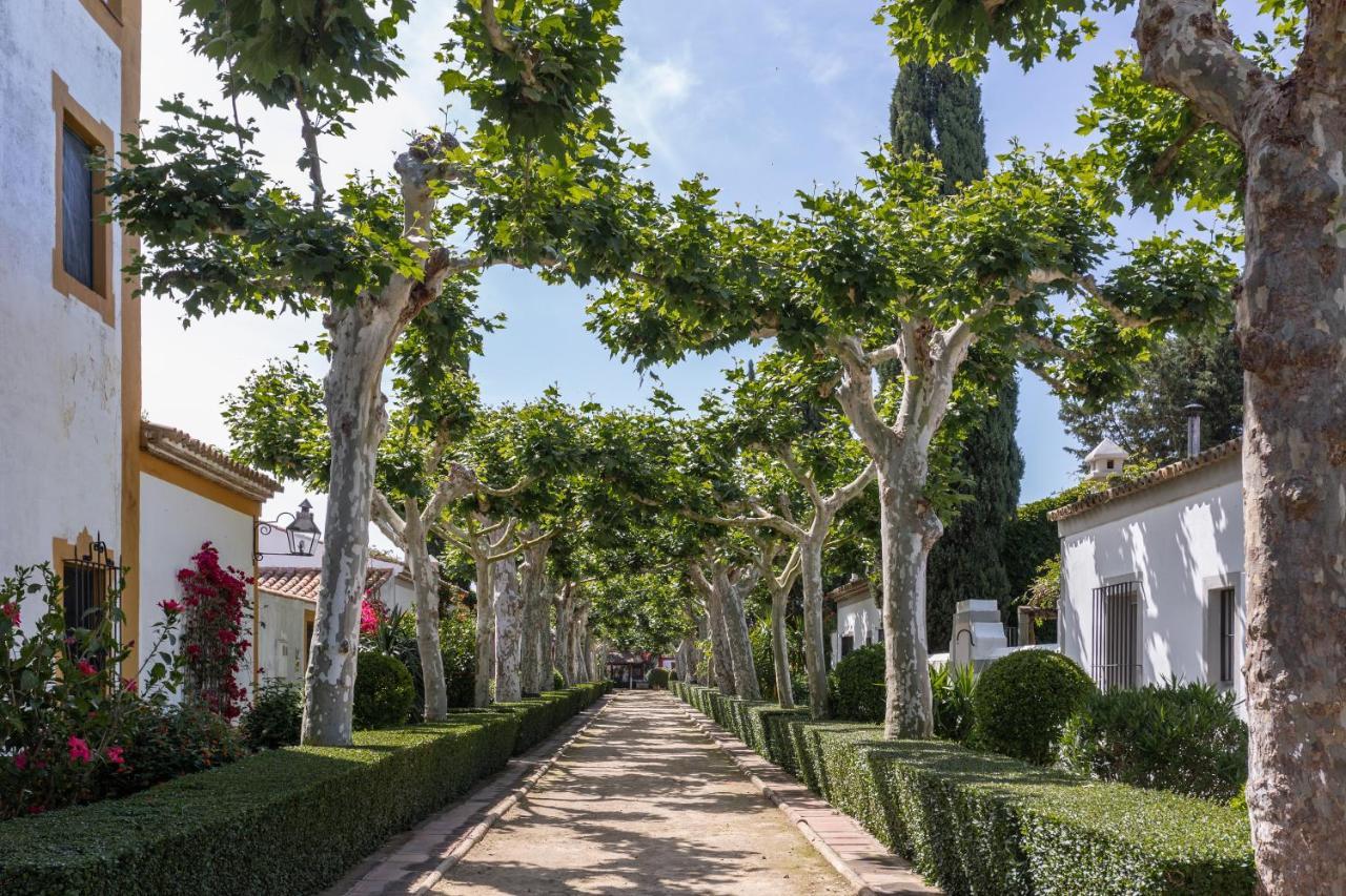 El Cortijo De Los Mimbrales El Rocio Ngoại thất bức ảnh